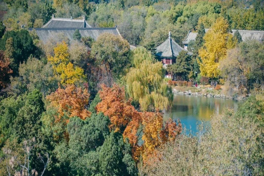 历史系就业_就业发展史_就业历史怎么写