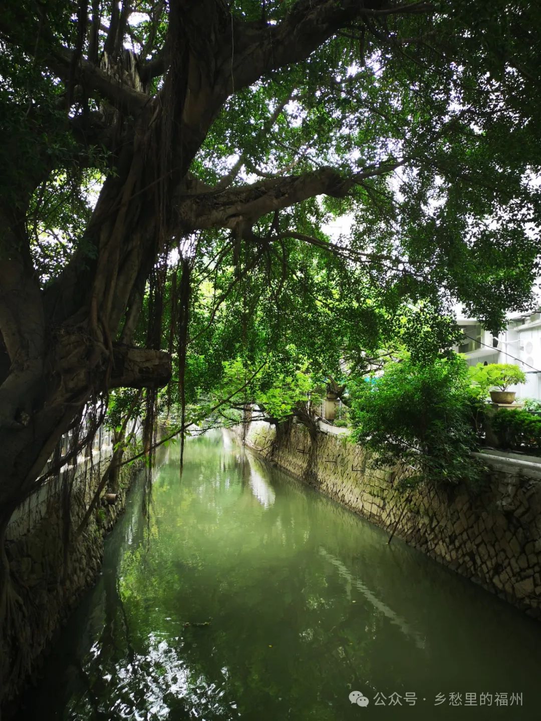 史传是什么意思_史传奎_史传