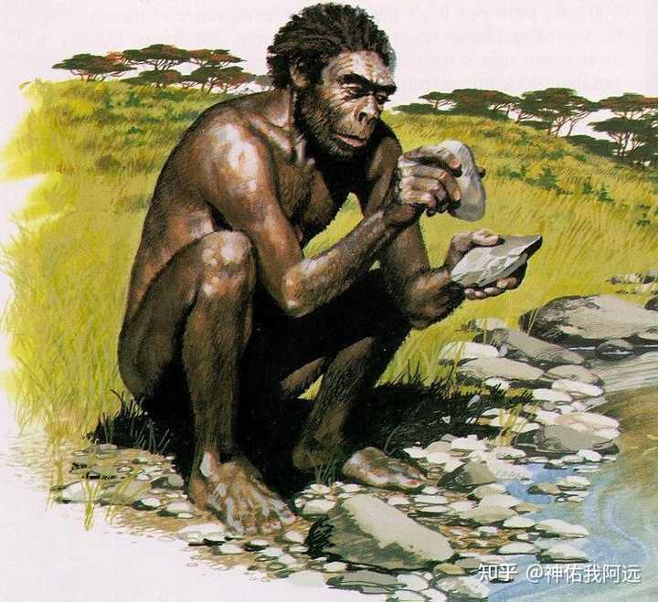 人类社会是如何形成的_人类社会形成是什么时期_人类社会的形成