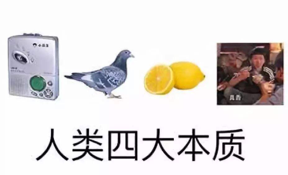 什么是人的社会属性？