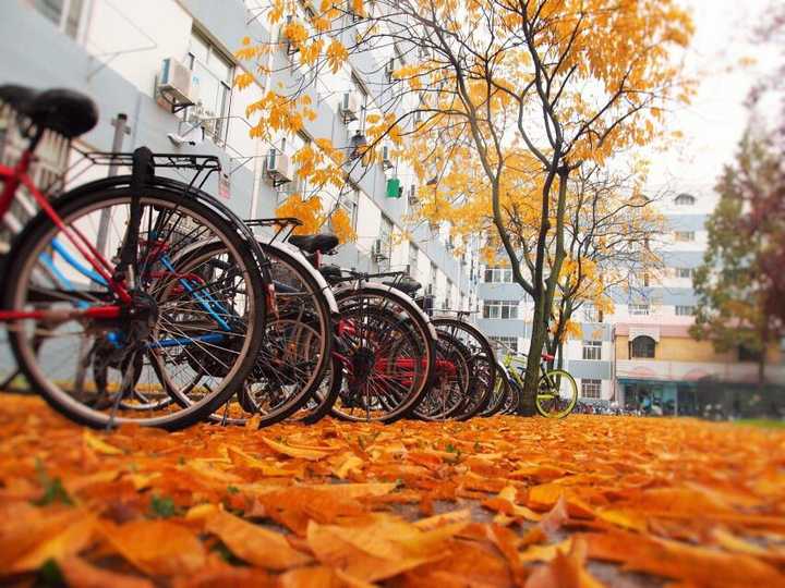 南京理工大学历史_南京理工大学历史_南京大学历史系实力