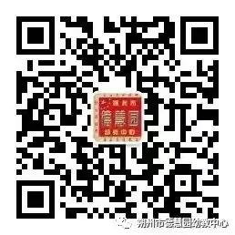 国学幼儿园的教育理念_幼儿国学_国学幼儿园