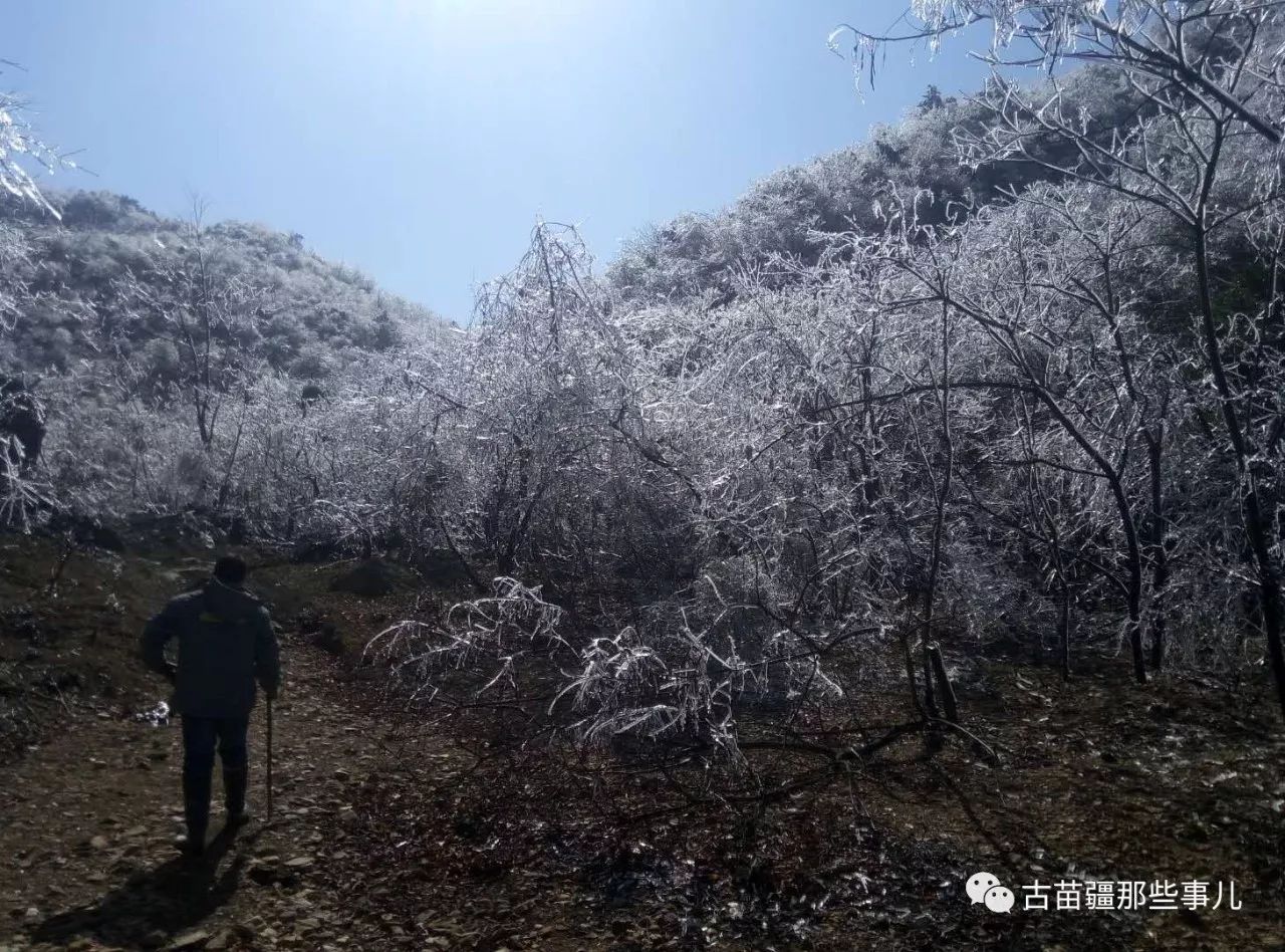 最早记载钓鱼岛的史籍_史籍的拼音_史籍