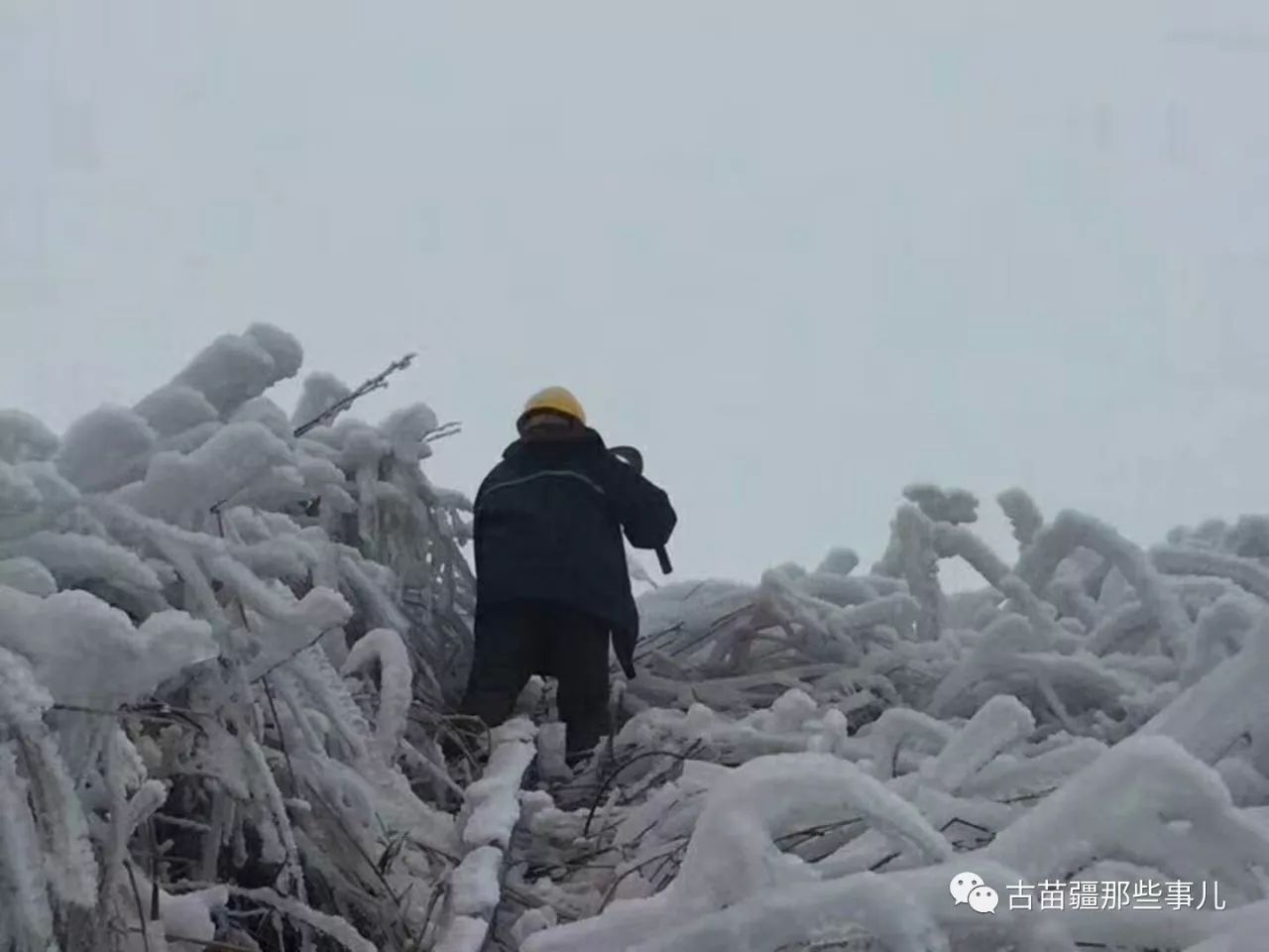 史籍的拼音_最早记载钓鱼岛的史籍_史籍