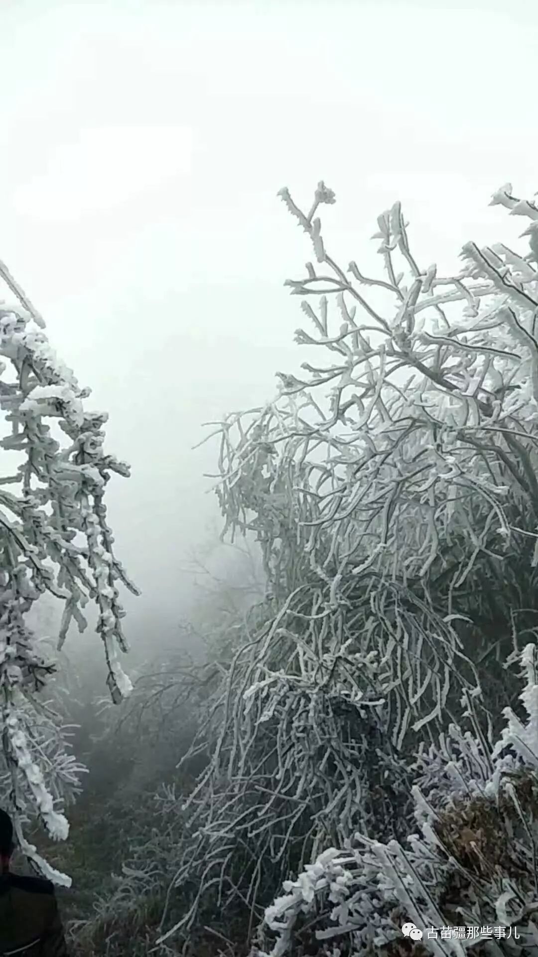 史籍的拼音_最早记载钓鱼岛的史籍_史籍