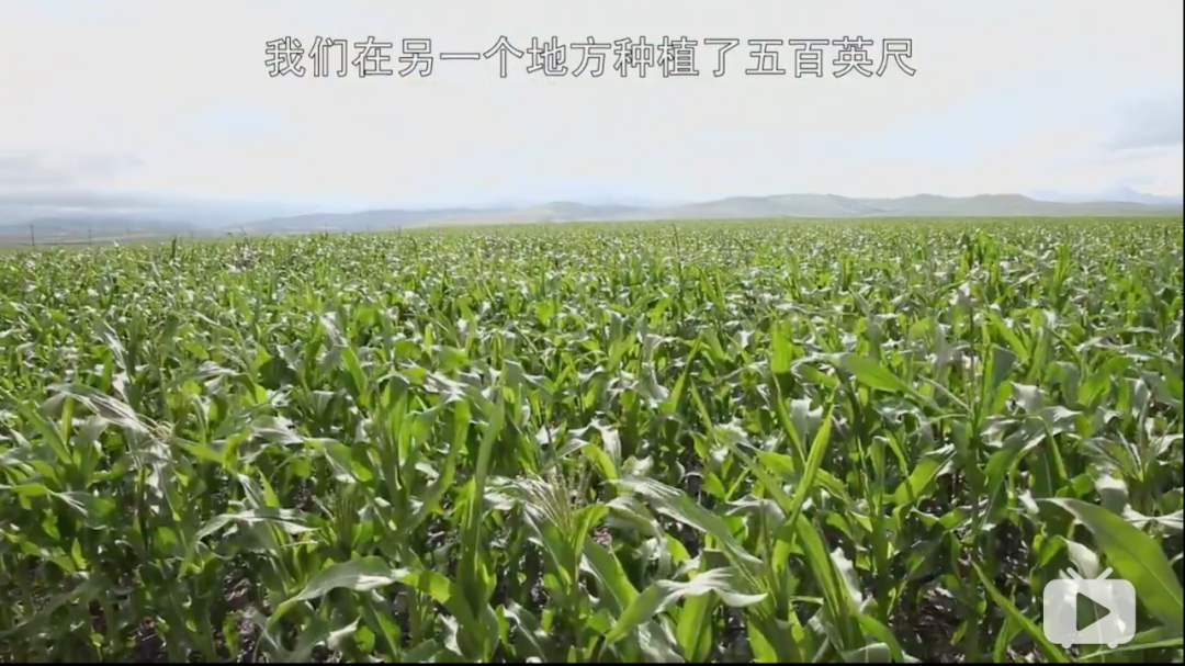 星际探索豆瓣_星际探索票房扑街_豆瓣星际探索