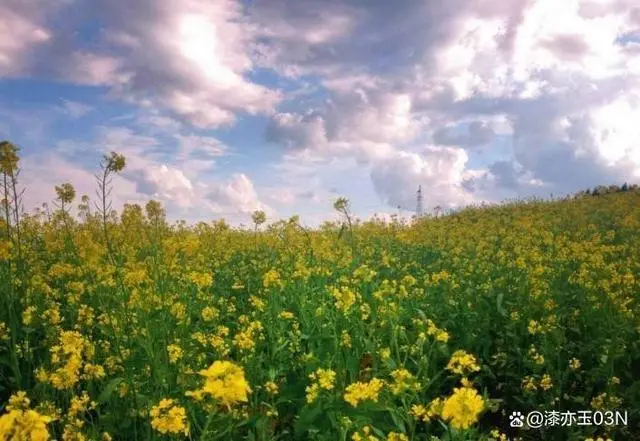 有些特征实例脱节_社会脱节的六大特征_与社会脱节的危害