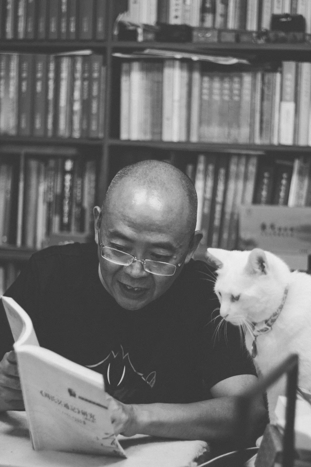 史事和史实的区别与联系_史事_再论东洋进征台湾略相关史事