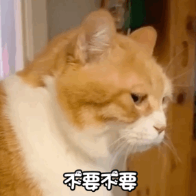 教育是社会的教育_教育社会的属性_教育社会是什么学科
