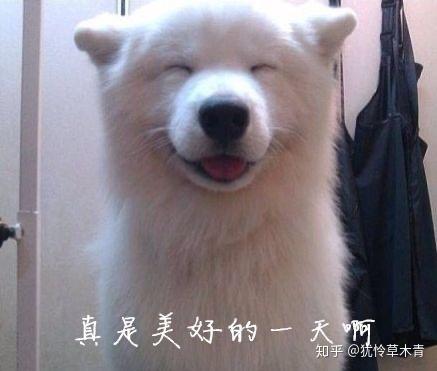 神话小说推荐_神话小说_神话小说排行榜前十名