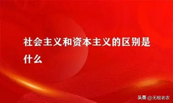 社会的核心价值取向_核心社会价值观_社会领域的核心价值