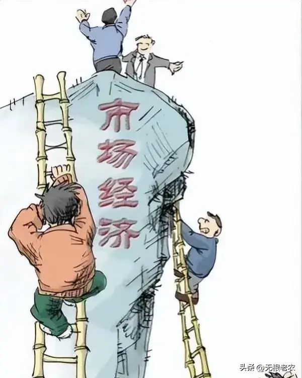 核心社会价值观_社会领域的核心价值_社会的核心价值取向