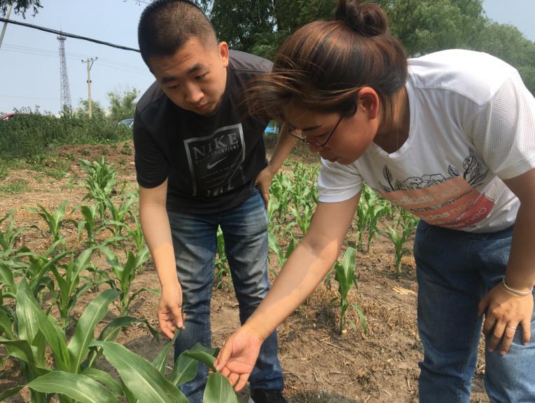 黑龙江省人力资源和社会保障厅地址_人力资源和社会保障局黑龙江省_黑龙江省人力和资源保障