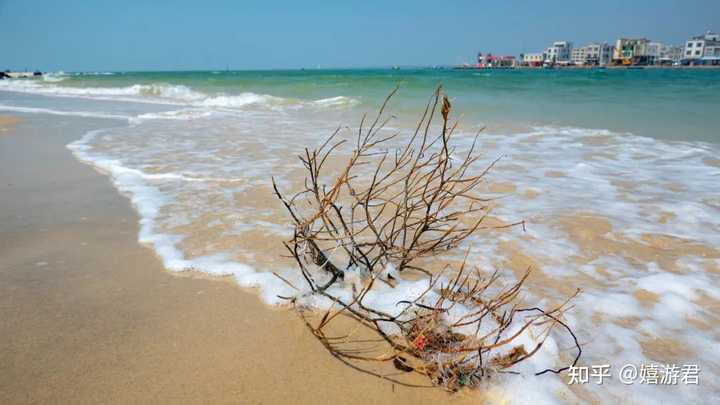 惠东名人录_惠东名人故事_惠东历史名人