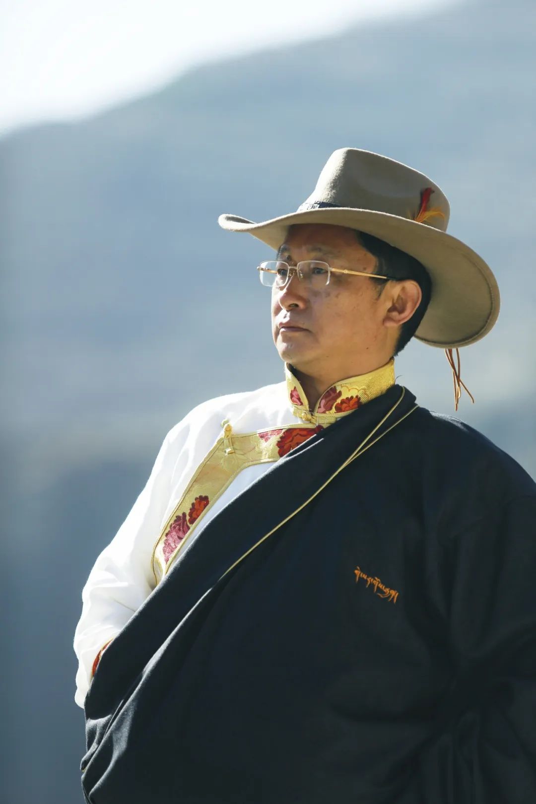 野史写不尽春秋_野史写不进春秋什么意思_野史谁写的