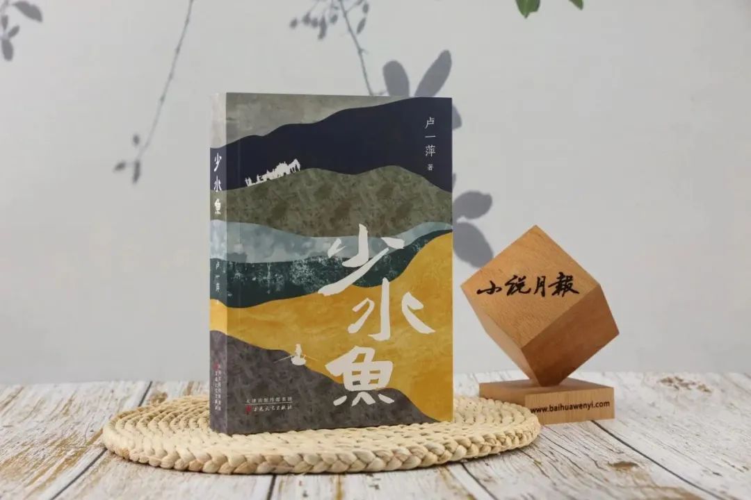 野史谁写的_野史写不进春秋什么意思_野史写不尽春秋