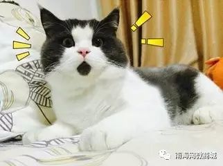 澄迈县历史名人_澄迈名人录_海南省澄迈名人