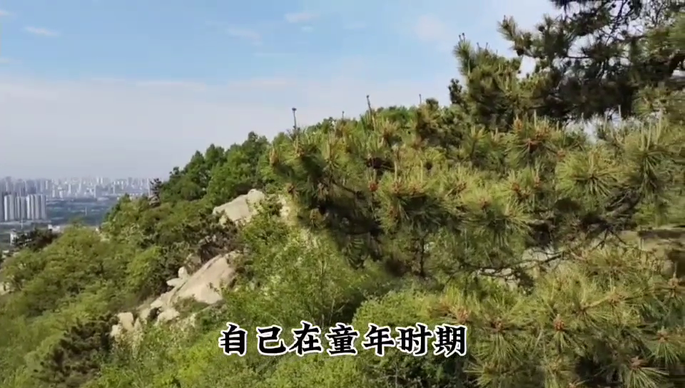 传说岳飞当晚在大理寺_说岳全传_传说岳飞的母亲