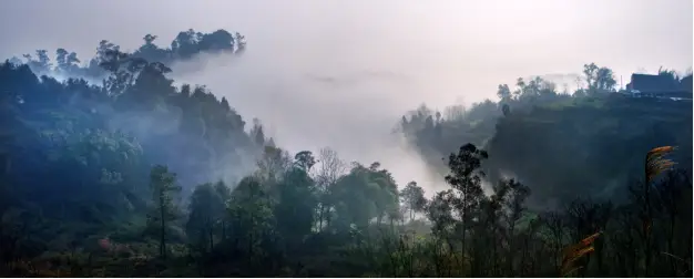 洞鉴历史人物_洞鉴历史人物_洞鉴历史人物