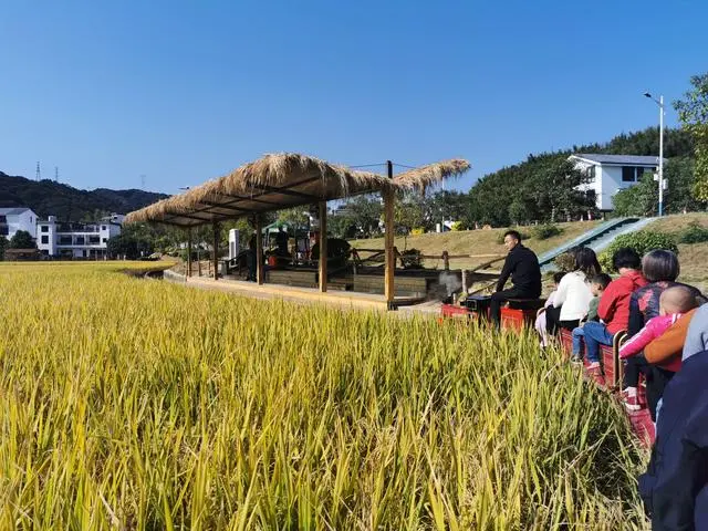 黄埔古港古村历史文化景区_黄埔古港黄埔村_黄埔古港的历史