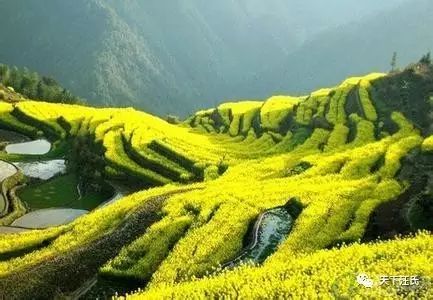 名人姓华历史简介_华姓的历史名人_华姓名人