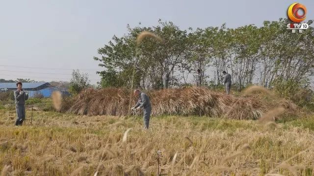 探索 发现_探索发现纪录片_探索发现古墓全集视频