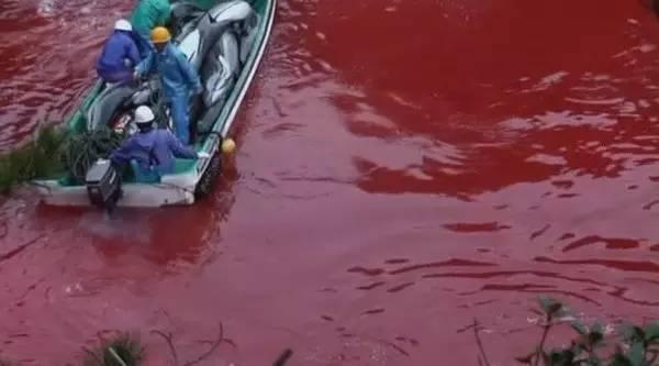 地球海洋人类探索了多少_人类探究海洋_人类探索海洋的历史