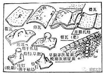 原始社会特征总结_原始社会主要特点_原始社会基本特征