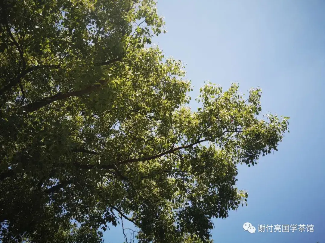 国学是什么课程_什么是国学_国学是不是骗局