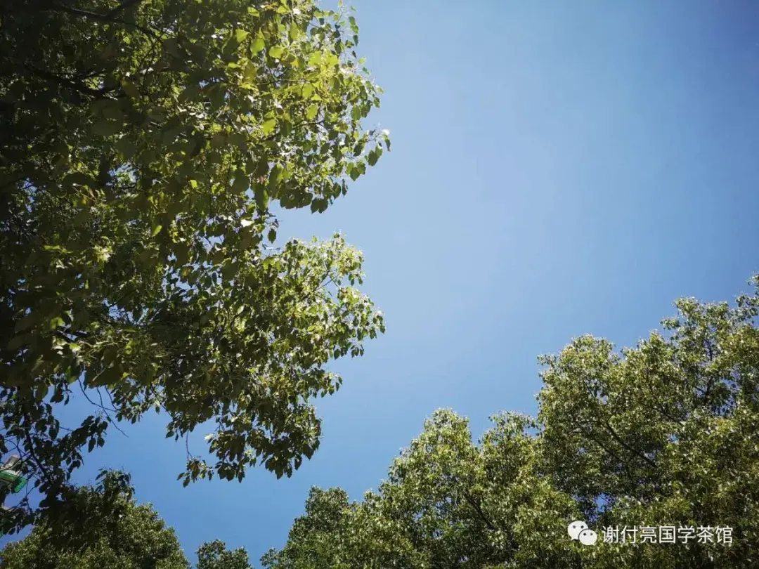 什么是国学_国学是什么课程_国学是不是骗局