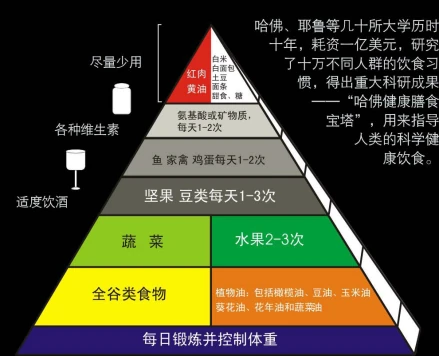 全国学生营养周主题活动_全国学生营养日_全国学生营养日宣传图片