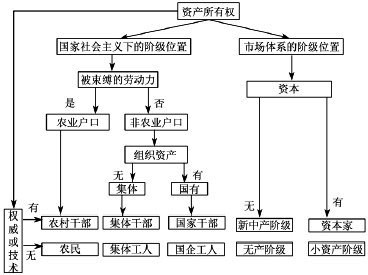 体系社会化_社会体系分析_社会体系