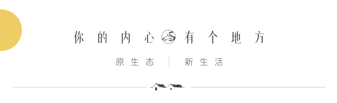 冯梦龙的三言_冯梦龙的智囊全集_冯梦龙