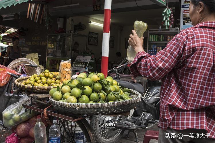 朝鲜社会福利政策_社会福利政策有哪些内容_社会政策与社会福利