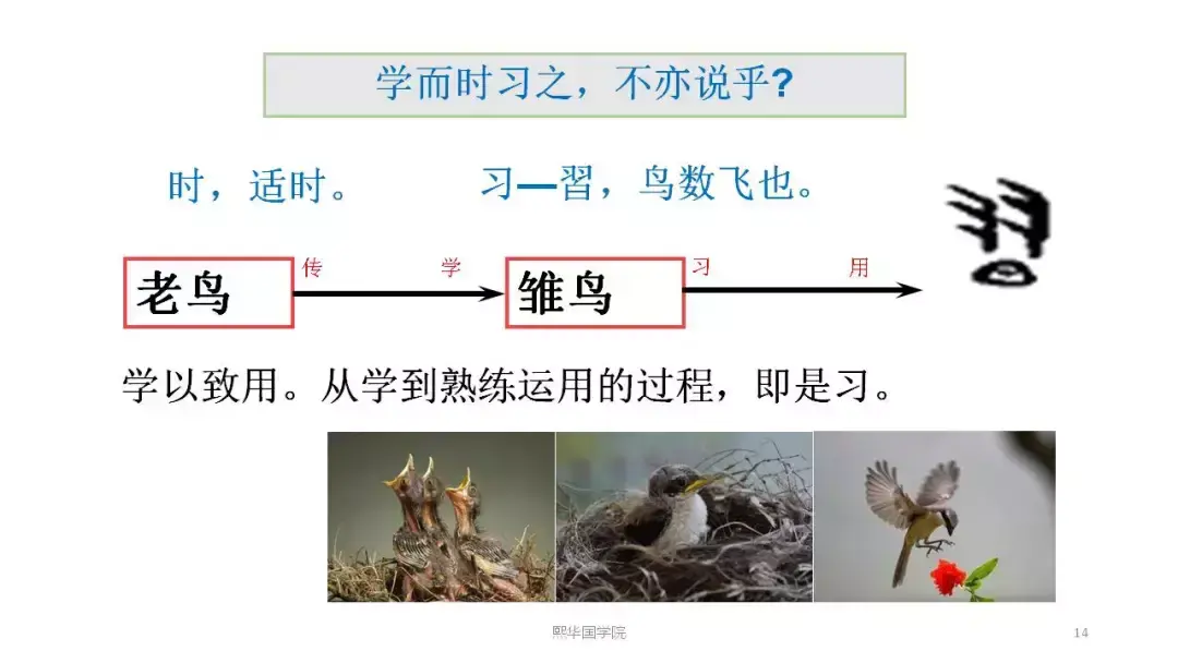 国学读后感_国学经典读后感_国学读后感1500字作文