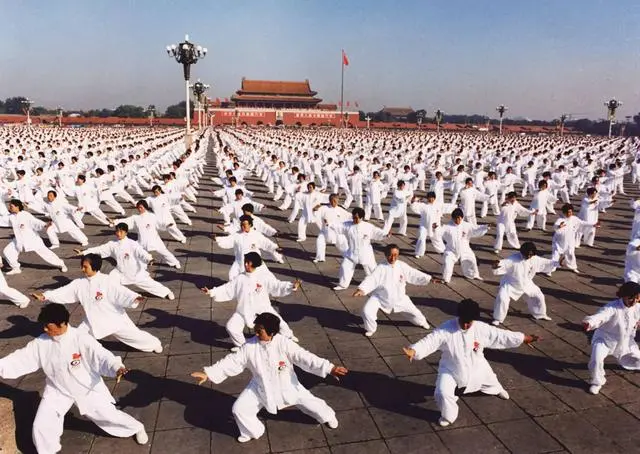 社会现象的自然属性_现象属性自然社会属于什么_自然现象属于社会现象吗