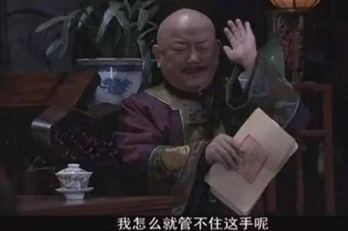 官野史稗的意思_什么官野史_官野史稗的读音