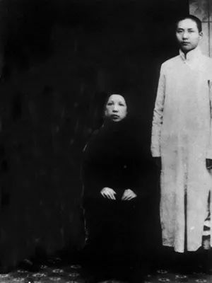 野史秘闻易木著旧书_野史秘闻李师师结局_秘闻野史