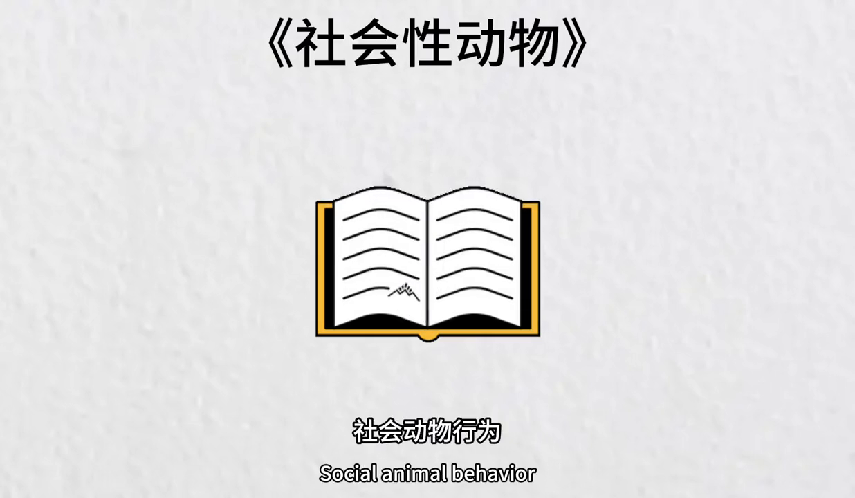 人类主要的社会性动机是(_人类主要的社会动机有_人类的社会性动机