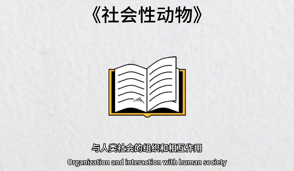 人类的社会性动机_人类主要的社会性动机是(_人类主要的社会动机有