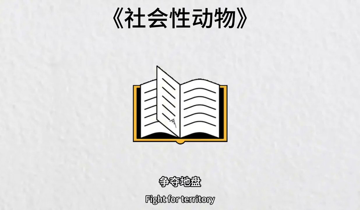 人类主要的社会动机有_人类的社会性动机_人类主要的社会性动机是(