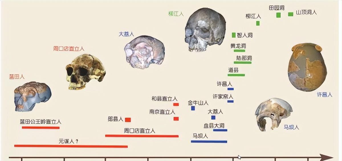 在北京发现的古人类_北京古人类研究所_北京人的发现对于研究古人类什么的历史具有