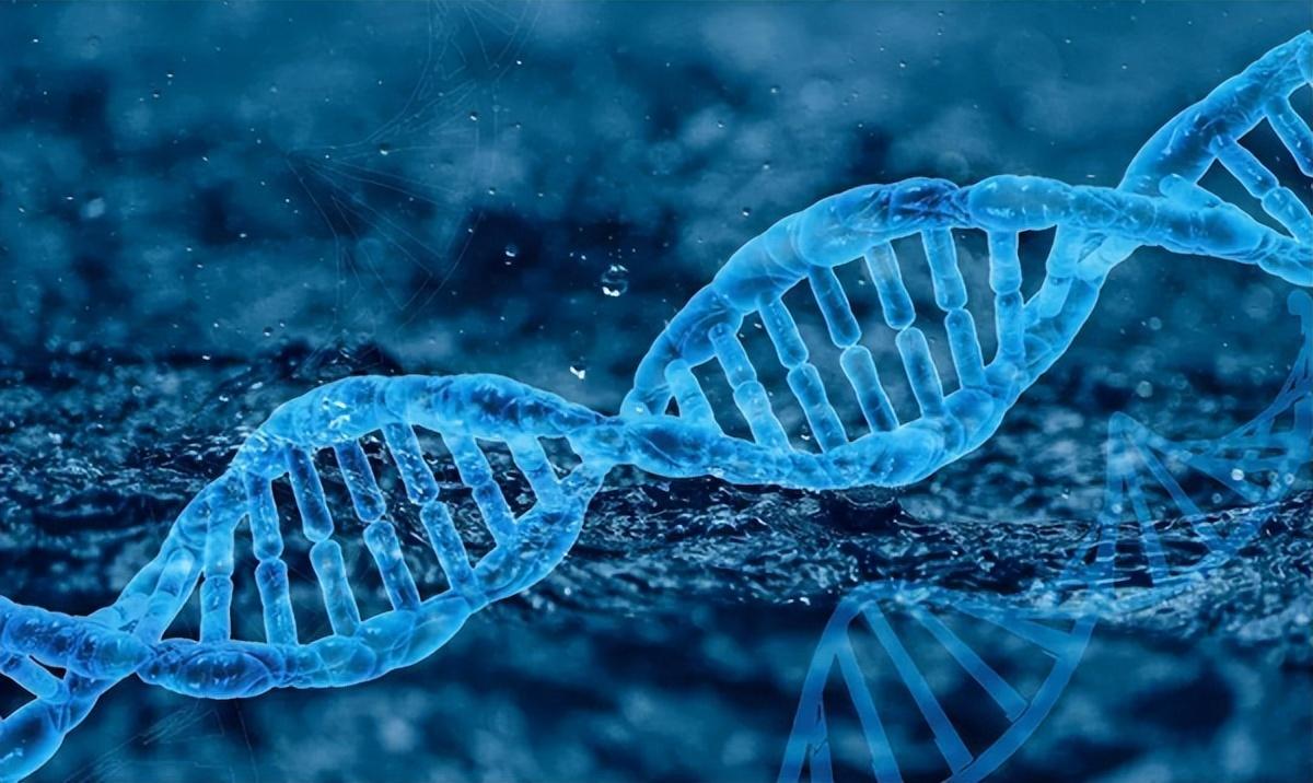 北京古人类研究所_在北京发现的古人类_北京人的发现对于研究古人类什么的历史具有