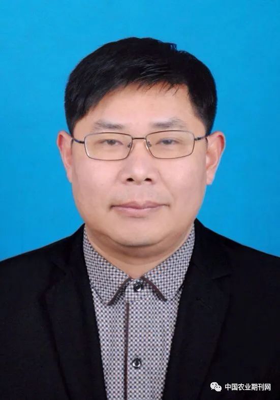 中国学术期刊论文网_中国学术期刊网_中国学术期刊网app