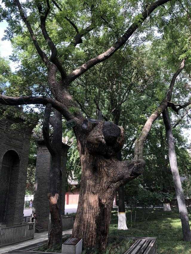 陕西历史博物馆门票价格_陕西博物馆270票价_陕西历时博物馆
