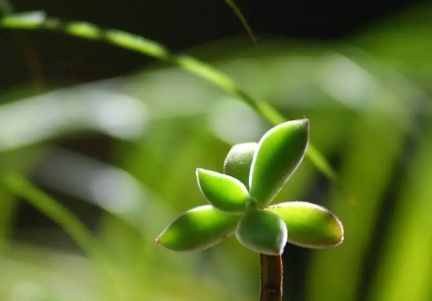 中浦院秋读漫步