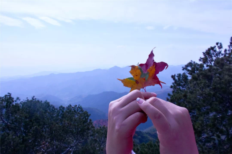 赶紧出发！韩城这几处自驾旅行打卡地 每一处都是绝美秋色！（图）