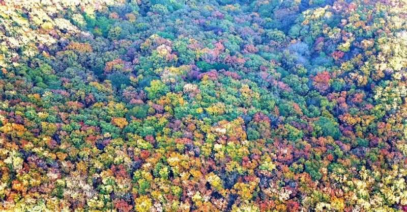 赶紧出发！韩城这几处自驾旅行打卡地 每一处都是绝美秋色！（图）