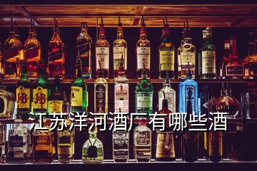 江苏洋河酒厂有哪些酒