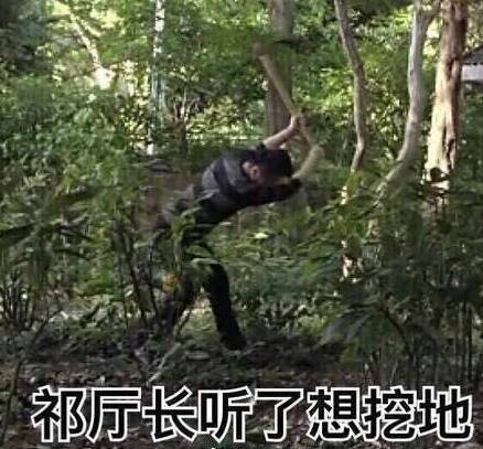 关于甘愿做配角的题记_甘愿当配角的素材_甘愿当配角的历史人物